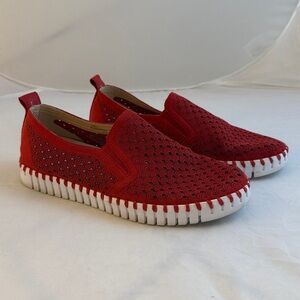 Isle Jacobsen Tulip, sz 27, Deep Red